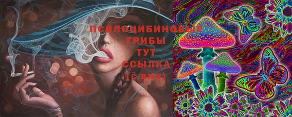 PSILOCYBIN Козельск
