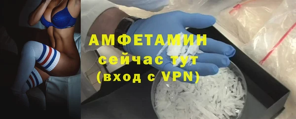 PSILOCYBIN Козельск