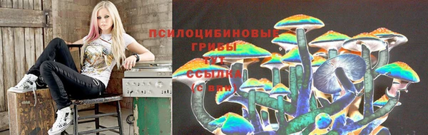 PSILOCYBIN Козельск