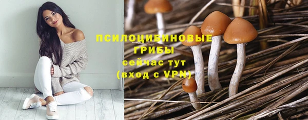 PSILOCYBIN Козельск