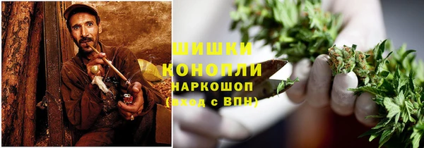 PSILOCYBIN Козельск