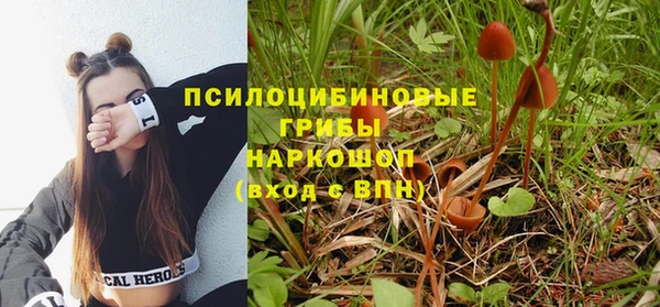 PSILOCYBIN Козельск