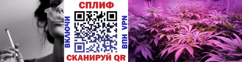 Канабис марихуана  купить наркотики сайты  OMG ССЫЛКА  Щёлково 